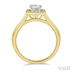 1/3 Ctw Halo Round Cut Diamond Ladies Engagement Ring With 1/4 Ct Princess Cut Center Stone in 14K Yellow and White Gold